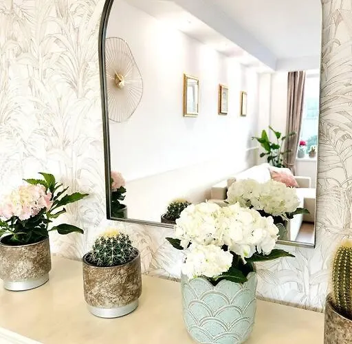 Serendipity I Sala Palatului